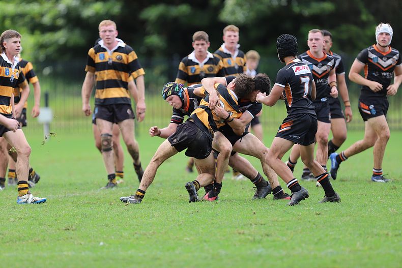 Andrew Johns Cup Semi Final NR TIGERS v M WESTS TIGERS
