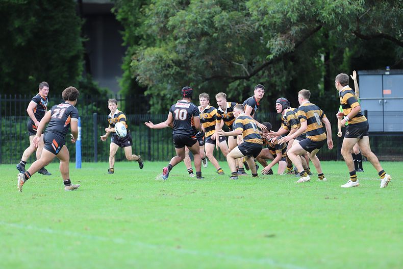 Andrew Johns Cup Semi Final NR TIGERS v M WESTS TIGERS