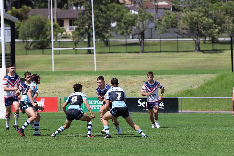 NSWRL Harold Matthews Cup – Rnd 4 – CC ROOSTERS v Cronulla SHARKS
