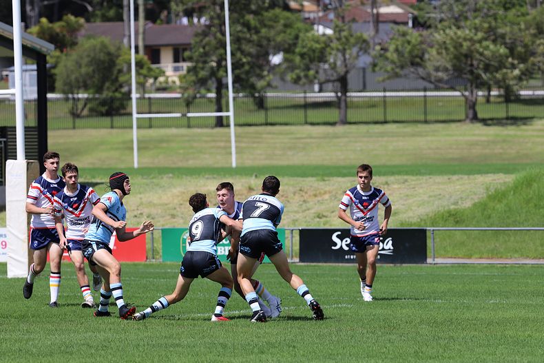 NSWRL Harold Matthews Cup – Rnd 4 – CC ROOSTERS v Cronulla SHARKS