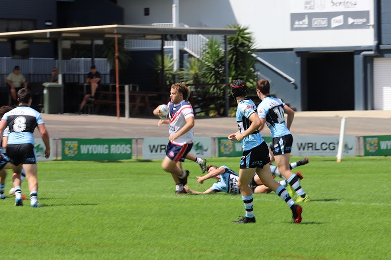 NSWRL Harold Matthews Cup – Rnd 4 – CC ROOSTERS v Cronulla SHARKS