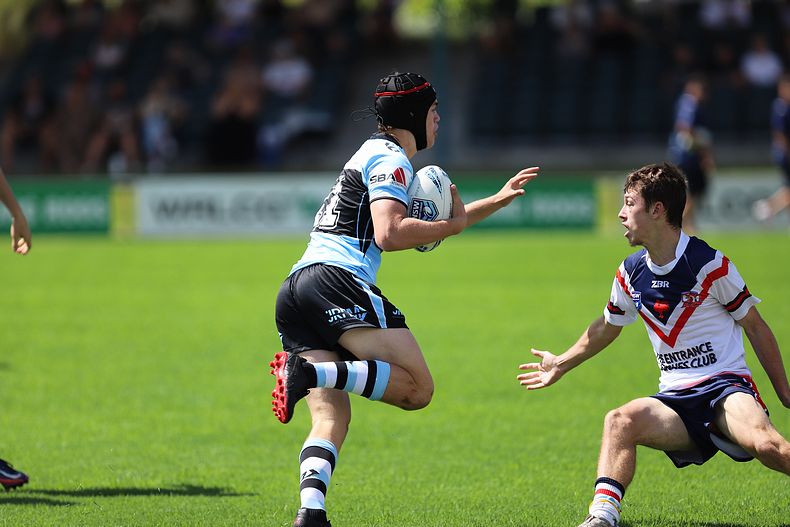 NSWRL Harold Matthews Cup – Rnd 4 – CC ROOSTERS v Cronulla SHARKS