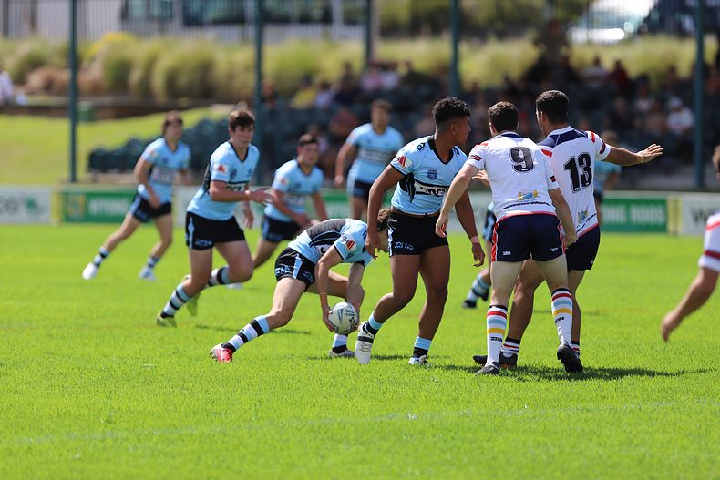 NSWRL Harold Matthews Cup – Rnd 4 – CC ROOSTERS v Cronulla SHARKS