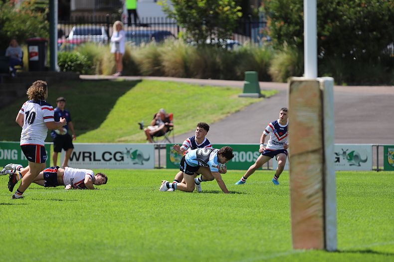 NSWRL Harold Matthews Cup – Rnd 4 – CC ROOSTERS v Cronulla SHARKS