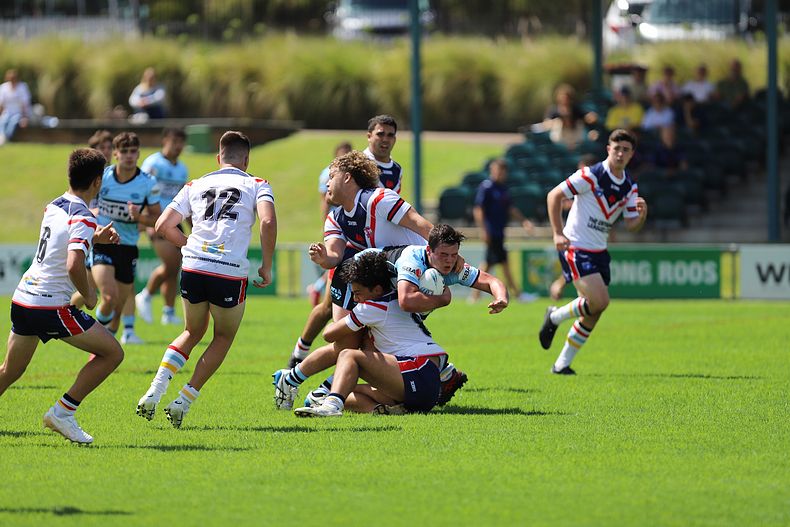 NSWRL Harold Matthews Cup – Rnd 4 – CC ROOSTERS v Cronulla SHARKS