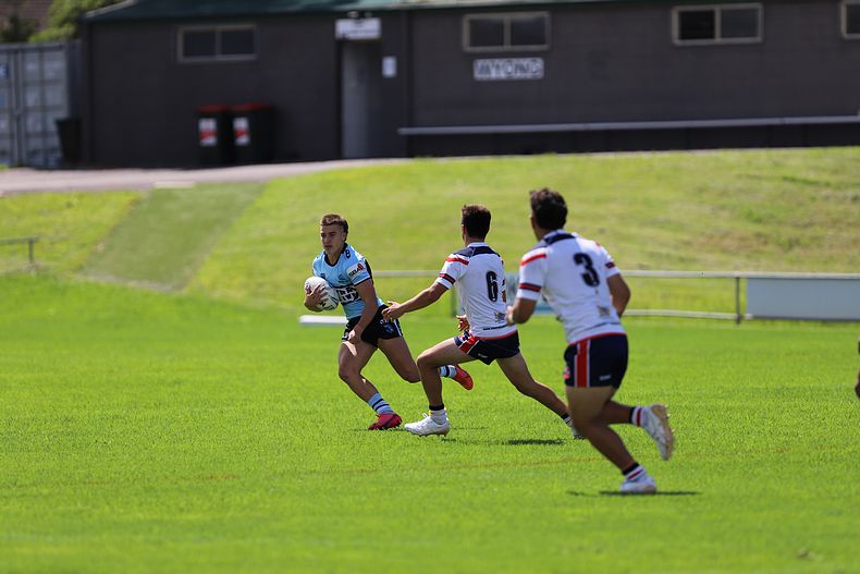 NSWRL Harold Matthews Cup – Rnd 4 – CC ROOSTERS v Cronulla SHARKS