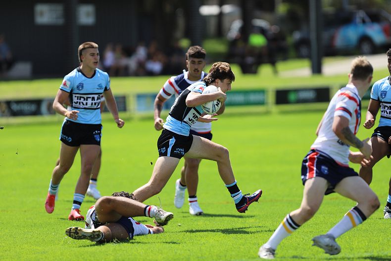 NSWRL Harold Matthews Cup – Rnd 4 – CC ROOSTERS v Cronulla SHARKS
