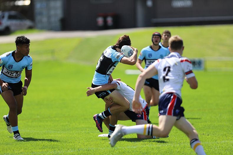 NSWRL Harold Matthews Cup – Rnd 4 – CC ROOSTERS v Cronulla SHARKS