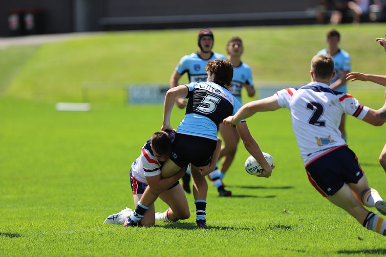 NSWRL Harold Matthews Cup – Rnd 4 – CC ROOSTERS v Cronulla SHARKS