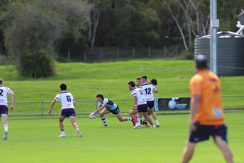 NSWRL Harold Matthews Cup – Rnd 4 – CC ROOSTERS v Cronulla SHARKS