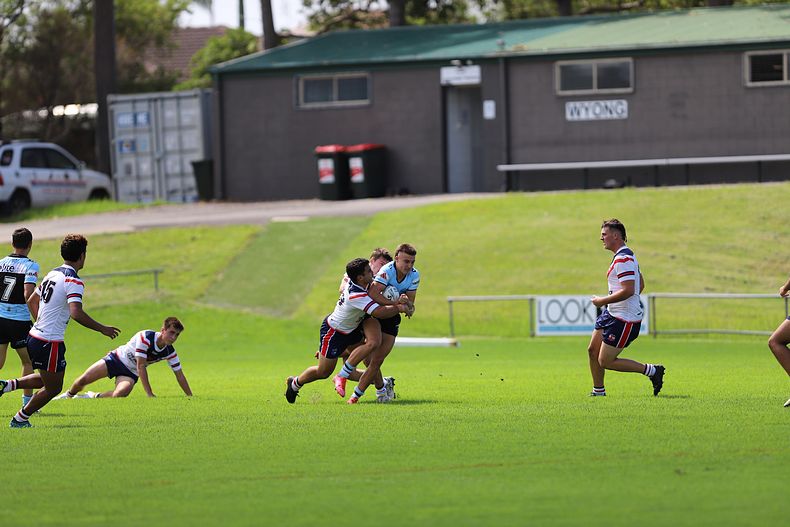 NSWRL Harold Matthews Cup – Rnd 4 – CC ROOSTERS v Cronulla SHARKS