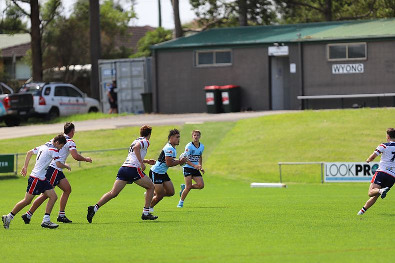 NSWRL Harold Matthews Cup – Rnd 4 – CC ROOSTERS v Cronulla SHARKS