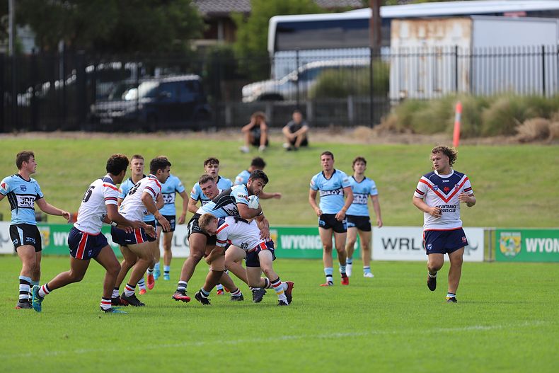 NSWRL Harold Matthews Cup – Rnd 4 – CC ROOSTERS v Cronulla SHARKS