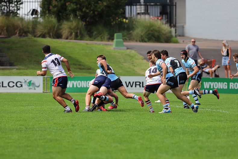 NSWRL Harold Matthews Cup – Rnd 4 – CC ROOSTERS v Cronulla SHARKS