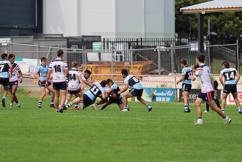 NSWRL Harold Matthews Cup – Rnd 4 – CC ROOSTERS v Cronulla SHARKS