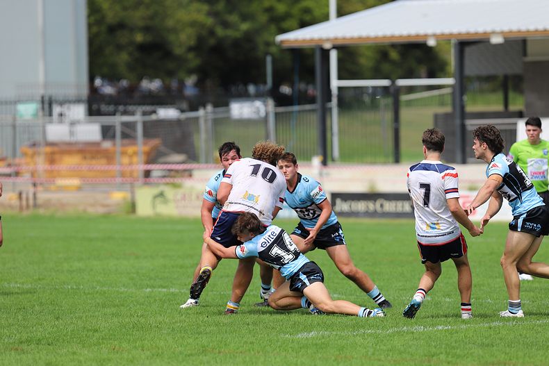 NSWRL Harold Matthews Cup – Rnd 4 – CC ROOSTERS v Cronulla SHARKS