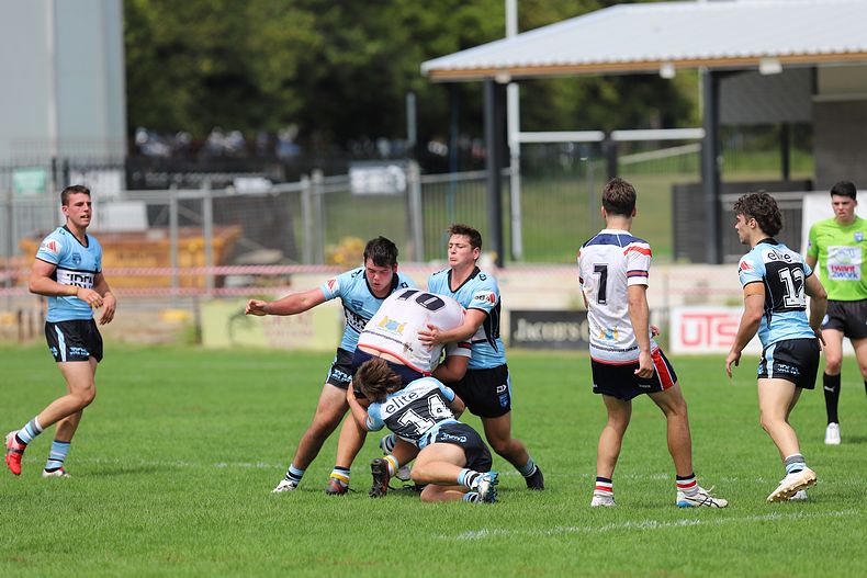 NSWRL Harold Matthews Cup – Rnd 4 – CC ROOSTERS v Cronulla SHARKS