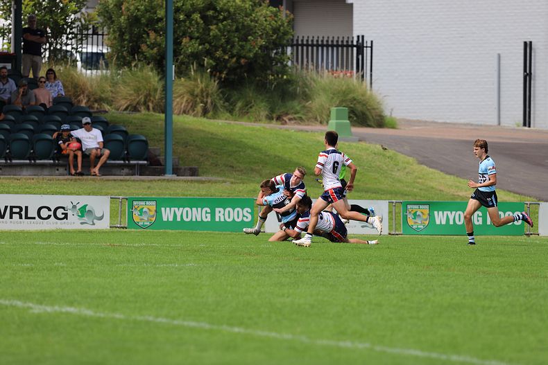 NSWRL Harold Matthews Cup – Rnd 4 – CC ROOSTERS v Cronulla SHARKS