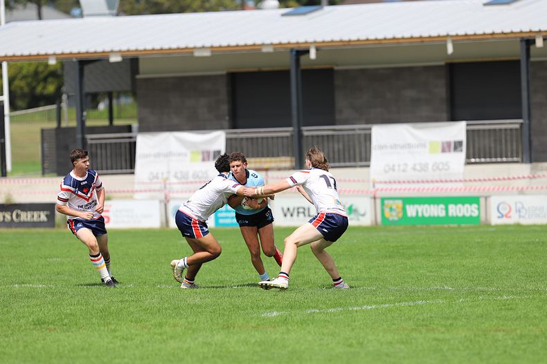 NSWRL Harold Matthews Cup – Rnd 4 – CC ROOSTERS v Cronulla SHARKS