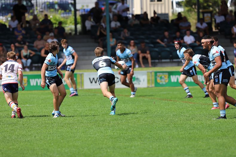 NSWRL Harold Matthews Cup – Rnd 4 – CC ROOSTERS v Cronulla SHARKS