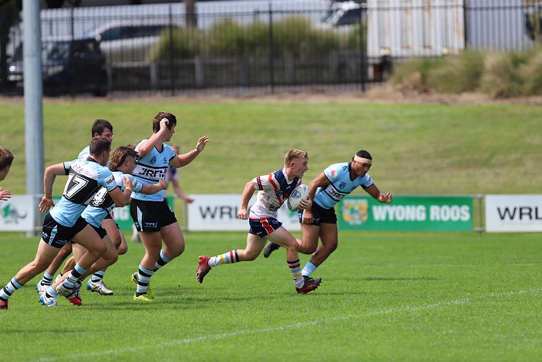 NSWRL Harold Matthews Cup – Rnd 4 – CC ROOSTERS v Cronulla SHARKS