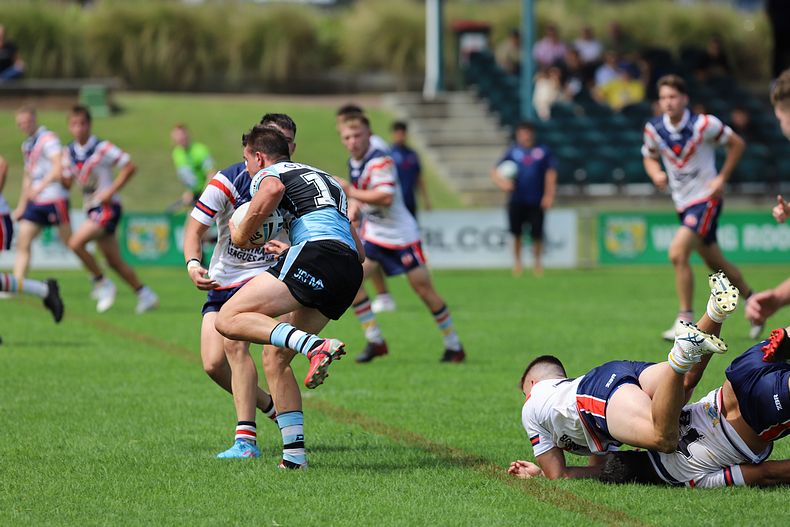 NSWRL Harold Matthews Cup – Rnd 4 – CC ROOSTERS v Cronulla SHARKS