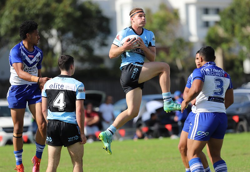 Heartbreak for Sharks SG Ball despite Bulldogs win (Photo : Steve Montgomery)
