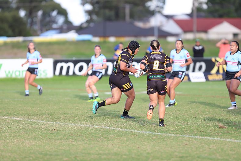HNWP Rnd 1 MOUNTIES v SHARKS