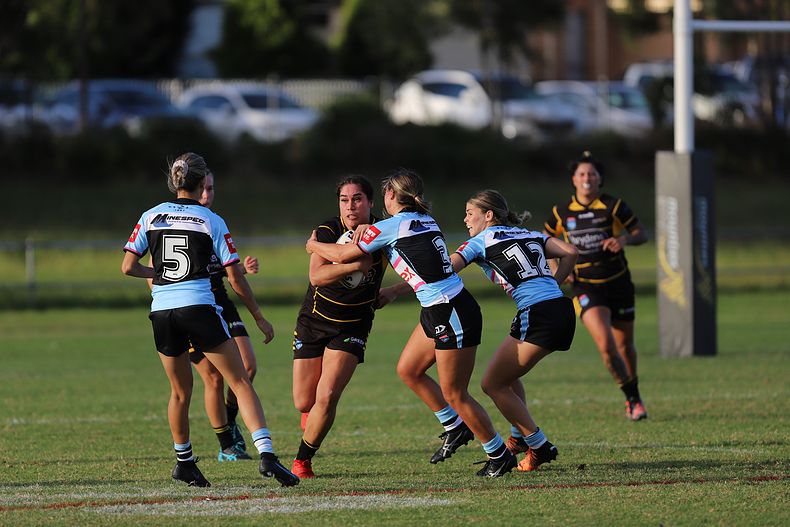 HNWP Rnd 1 MOUNTIES v SHARKS