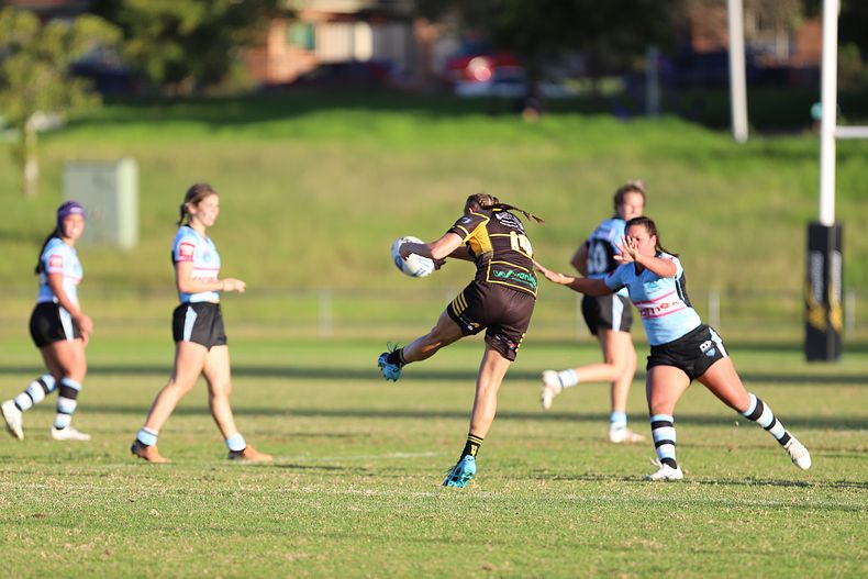 HNWP Rnd 1 MOUNTIES v SHARKS
