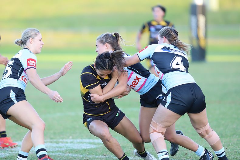 HNWP Rnd 1 MOUNTIES v SHARKS