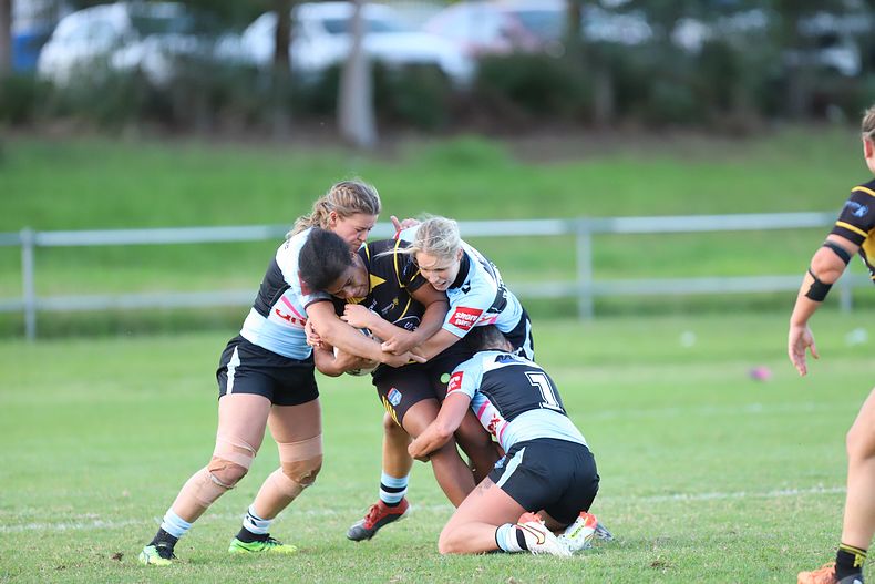 HNWP Rnd 1 MOUNTIES v SHARKS