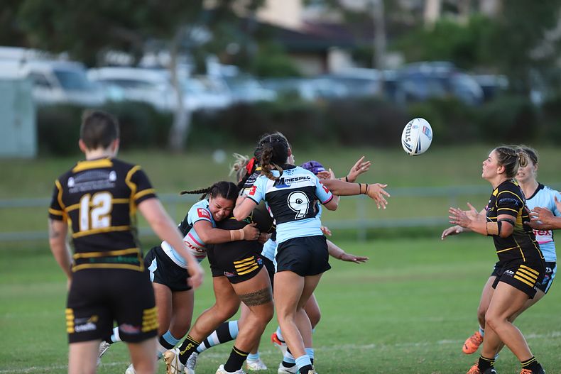 HNWP Rnd 1 MOUNTIES v SHARKS