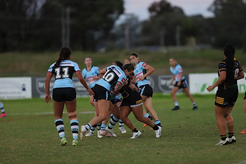 HNWP Rnd 1 MOUNTIES v SHARKS