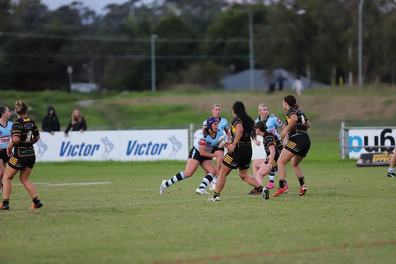 HNWP Rnd 1 MOUNTIES v SHARKS