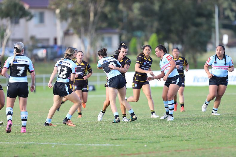 HNWP Rnd 1 MOUNTIES v SHARKS