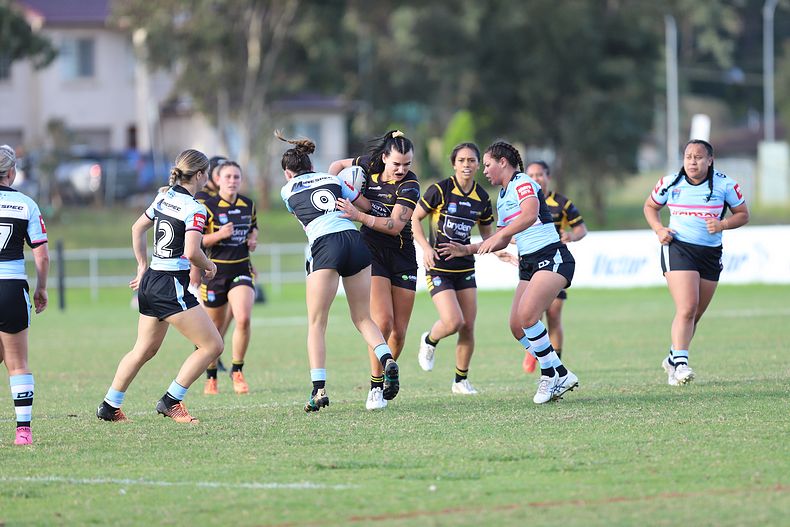 HNWP Rnd 1 MOUNTIES v SHARKS