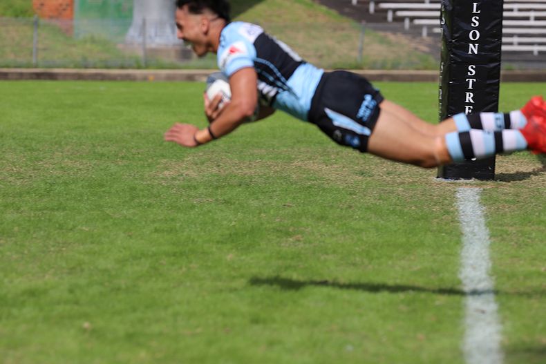 Jersey Flegg Cup Rnd 6 SHARKS v RABBITOH’S