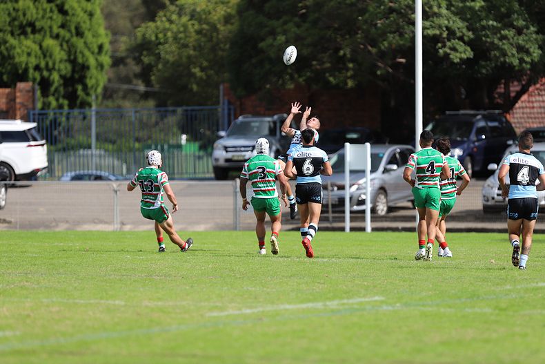Jersey Flegg Cup Rnd 6 SHARKS v RABBITOH’S