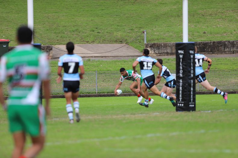 Jersey Flegg Cup Rnd 6 SHARKS v RABBITOH’S