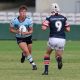 2022 NSWRL Harold Matthews Cup Semi Final Action Photo's Sydney Roosters v Cronulla Sharks (Photo's : Steve Montgomery)