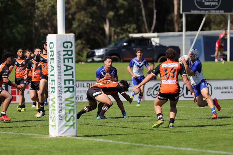 SG Ball Cup Eliminations Final BULLDOGS v TIGERS