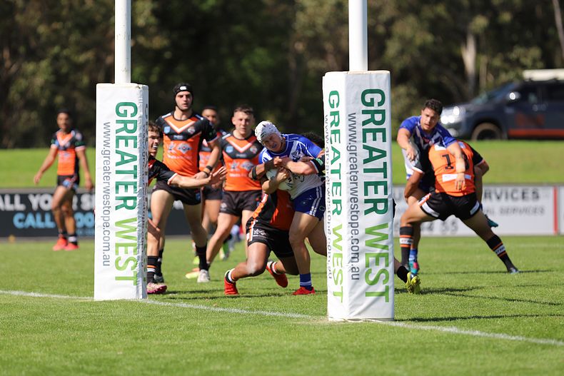 SG Ball Cup Eliminations Final BULLDOGS v TIGERS