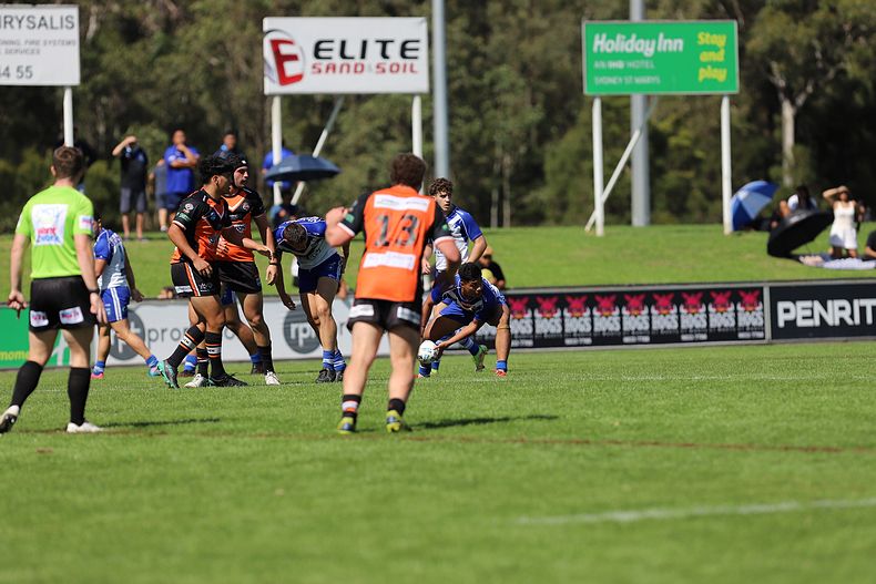 SG Ball Cup Eliminations Final BULLDOGS v TIGERS