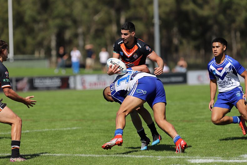 SG Ball Cup Eliminations Final BULLDOGS v TIGERS