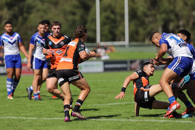 SG Ball Cup Eliminations Final BULLDOGS v TIGERS