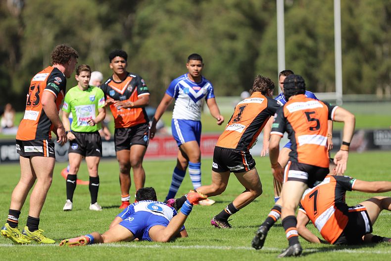 SG Ball Cup Eliminations Final BULLDOGS v TIGERS