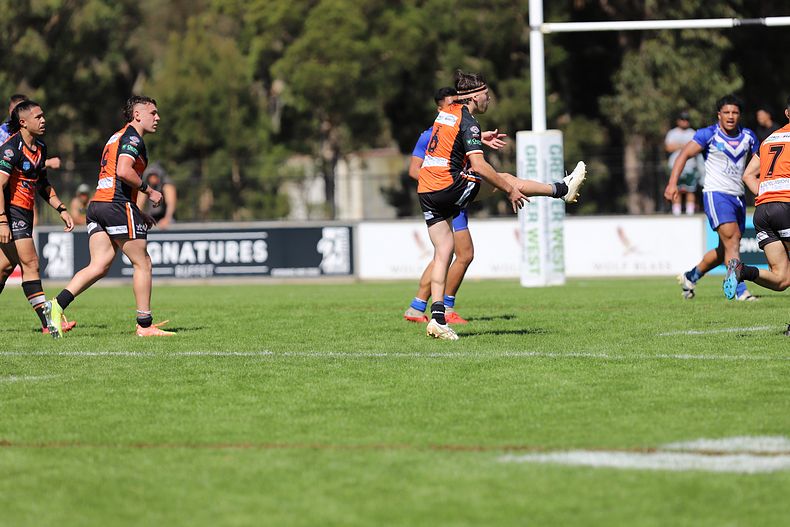 SG Ball Cup Eliminations Final BULLDOGS v TIGERS