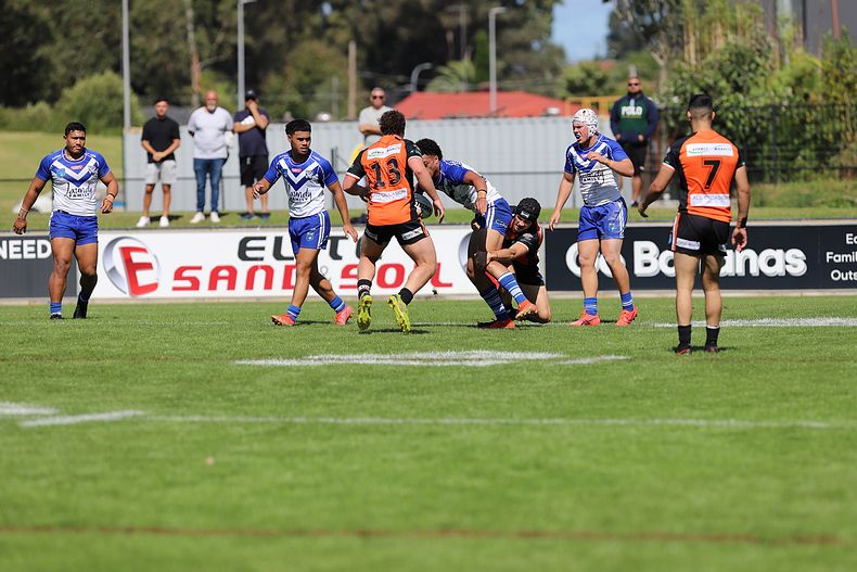 SG Ball Cup Eliminations Final BULLDOGS v TIGERS