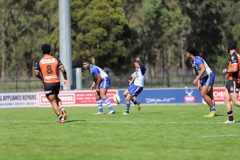SG Ball Cup Eliminations Final BULLDOGS v TIGERS